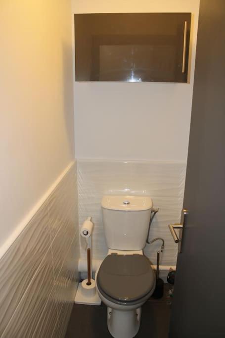 Le Chartreuse Apartment Voiron Ngoại thất bức ảnh